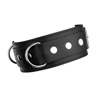 Leather Collar with Double D-Ring