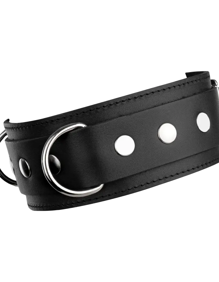 Leather Collar with Double D-Ring
