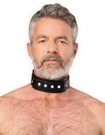 Leather Collar with Double D-Ring
