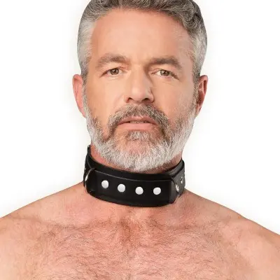Leather Collar with Double D-Ring