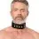 Leather Collar with Double D-Ring