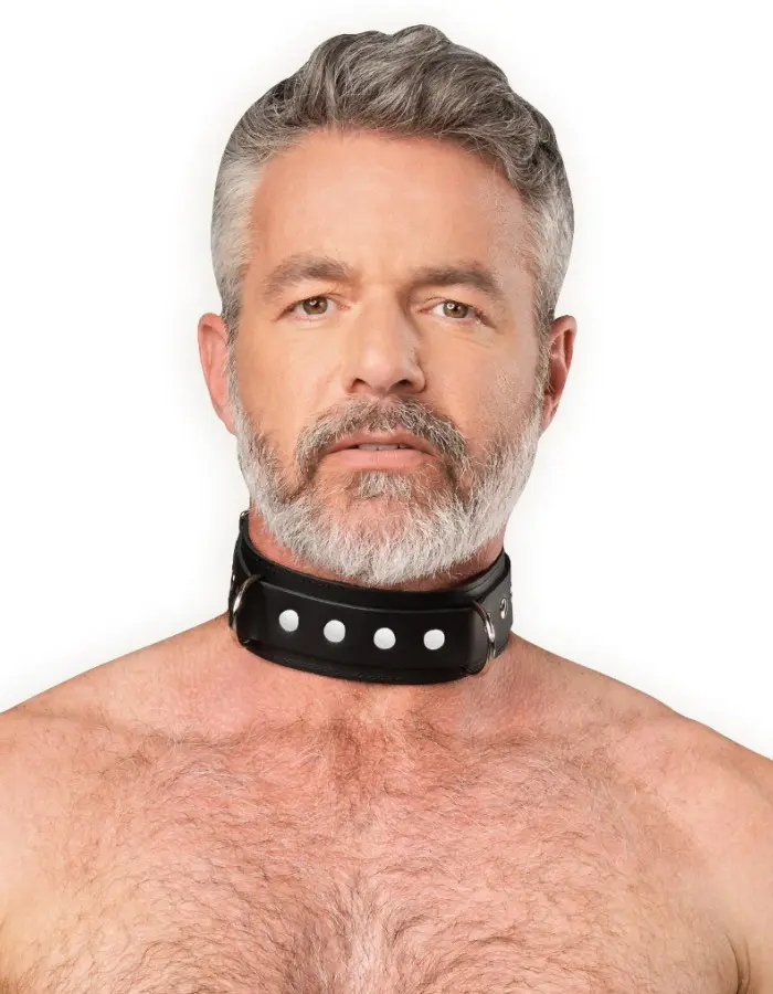 Leather Collar with Double D-Ring