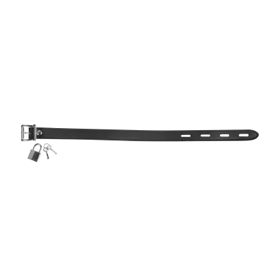 Leather Collar with Padlock – Lockable BDSM Leather Collar with Buckle & D-Ring