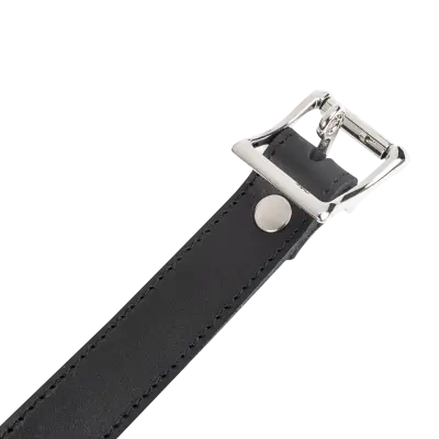 Leather Collar with Padlock – Lockable BDSM Leather Collar with Buckle & D-Ring
