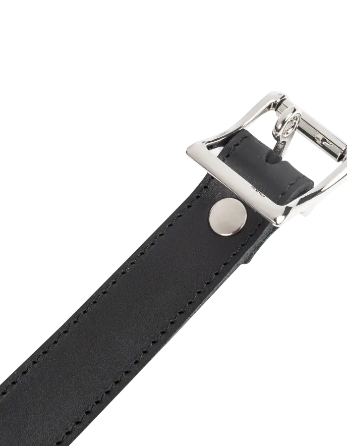 Leather Collar with Padlock – Lockable BDSM Leather Collar with Buckle & D-Ring