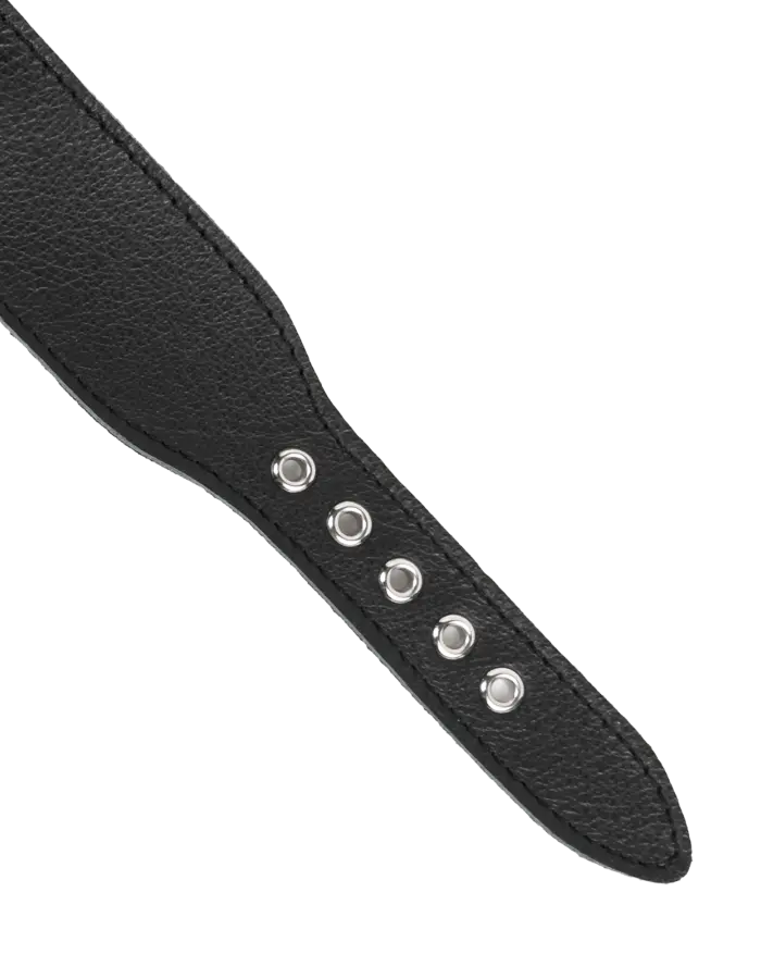 Leather Collar with Short Draping Chains