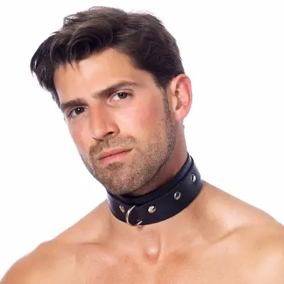 Leather Collar with Studs and Ring
