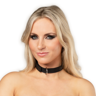 Leather Collar with Velcro Closure – Soft Power, Precision Control