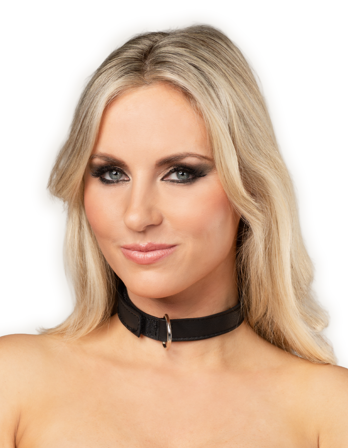 Leather Collar with Velcro Closure – Soft Power, Precision Control