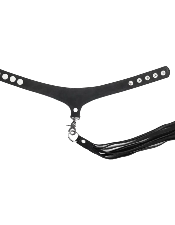 Leather Suede Collar with Detachable Flogger