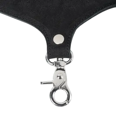 Leather Suede Collar with Detachable Flogger