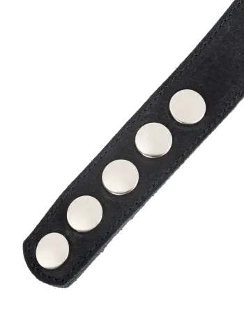 Leather Suede Collar with Detachable Flogger