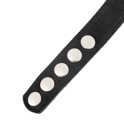 Leather Suede Collar with Detachable Flogger