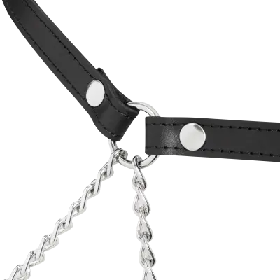 Leather and Chain Butt Harness