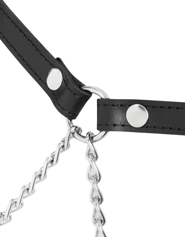 Leather and Chain Butt Harness