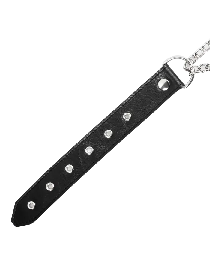 Leather & Chain Choke Collar