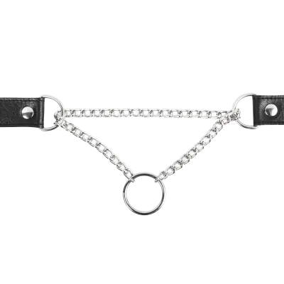 Leather & Chain Choke Collar