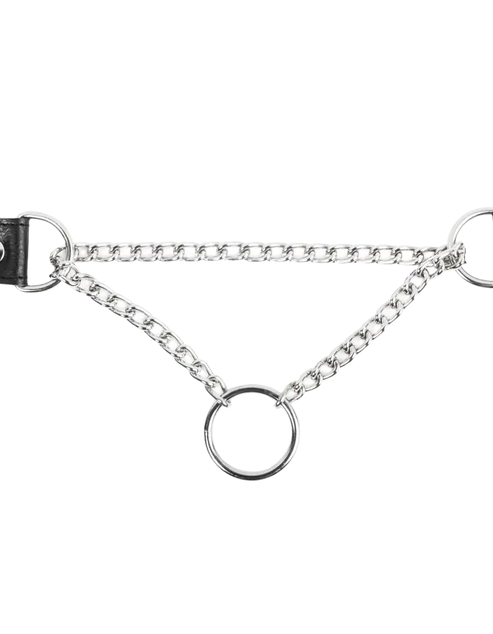 Leather & Chain Choke Collar