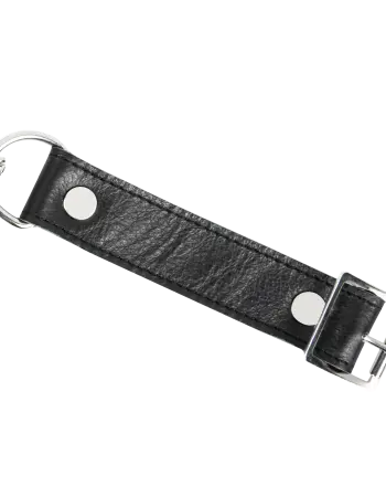 Leather & Chain Choke Collar