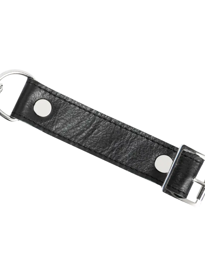 Leather & Chain Choke Collar