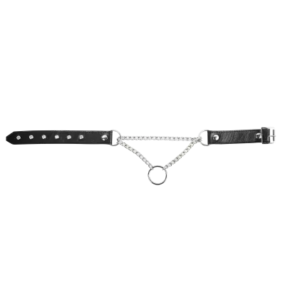 Leather & Chain Choke Collar