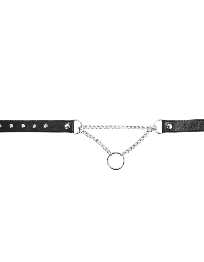 Leather & Chain Choke Collar