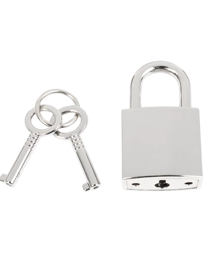 Leather & Chain Choke Collar with Padlock