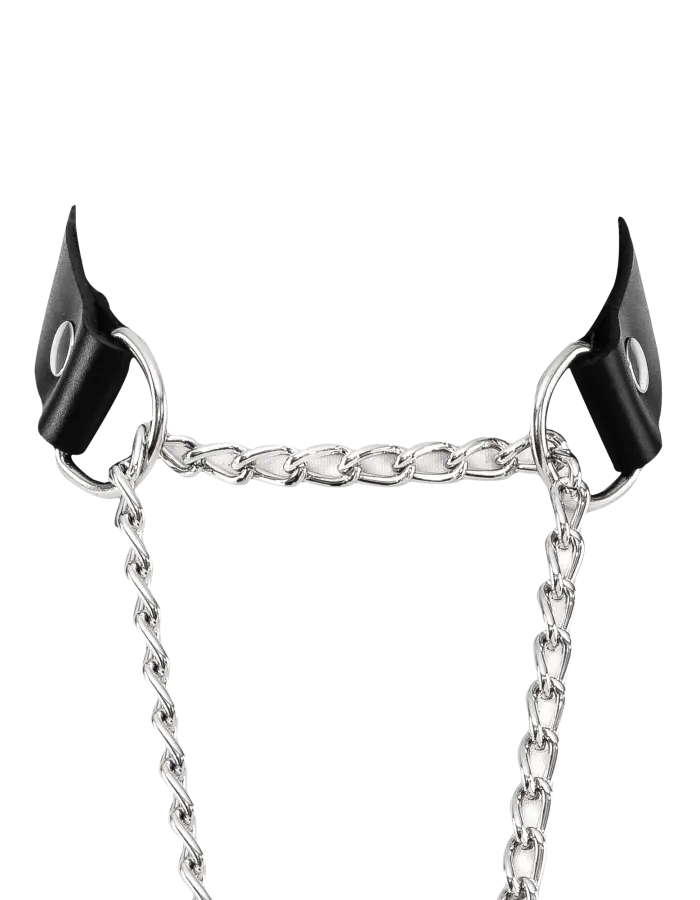 Leather & Chain Choke Collar with Padlock