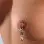 Lucky Star - Silver Starfish Nipple Rings