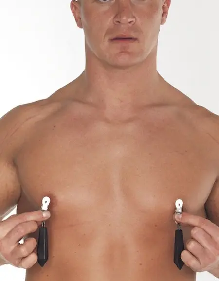 Nipple, Labia or Cock Weights 300g. - Pair