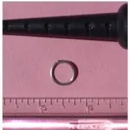 Passion Nipple Rings - Non Piercing