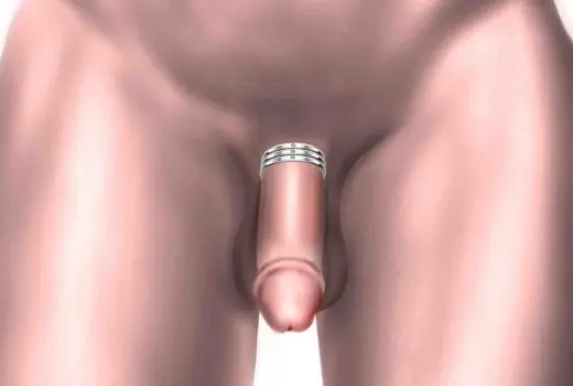Penis Jewelry for You and Your Man