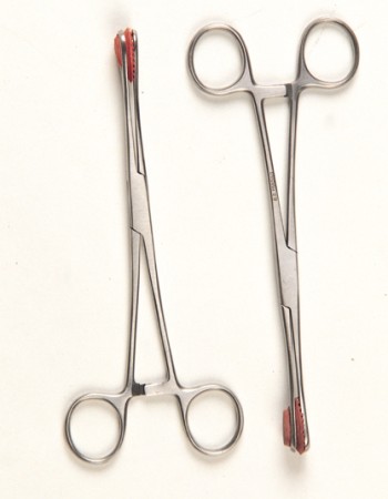 Piercing Forceps (Stainless Steel)