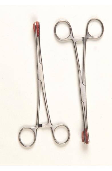 Piercing Forceps (Stainless Steel)