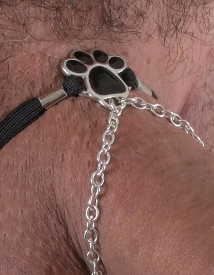 Practical Cats - Sterling Silver Cat Paw Penis Jewelry
