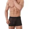 Public Enemy - Black Sheer Shorts