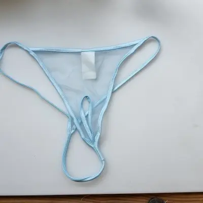 Ready to Experiment - Sheer Crotchless G String Panty