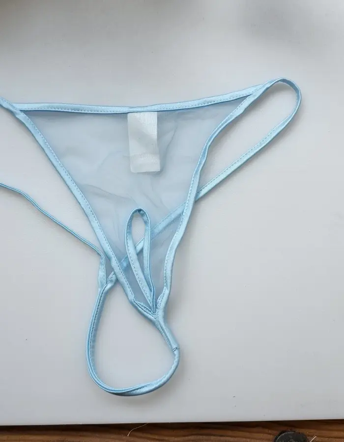 Ready to Experiment - Sheer Crotchless G String Panty