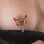 Red Lacewing - Gold Non-Piercing Nipple Ring