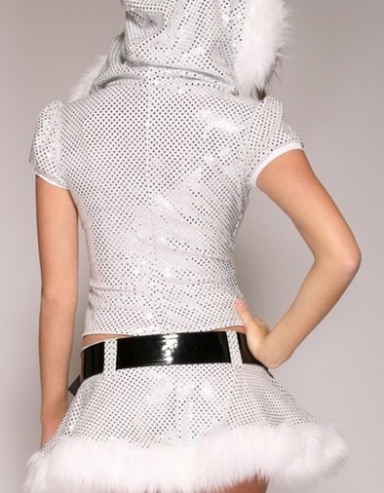 Santa Costume - Silver Belle
