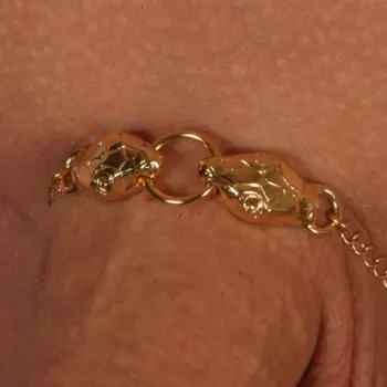 Set - Serpent Penis Chain Bracelet in Gold