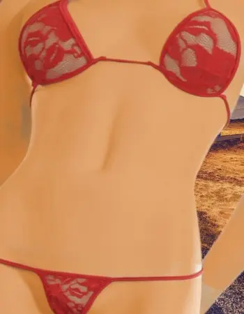 Sheer Lacey - G-String Lingerie Bikini