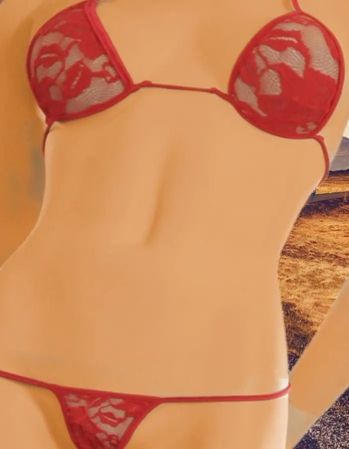 Sheer Lacey - G-String Lingerie Bikini