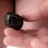 Silver Acorn - Insertable Glans Charm with Silver Pendants for Him