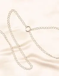 Silver Leash