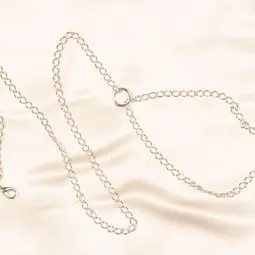 Silver Leash