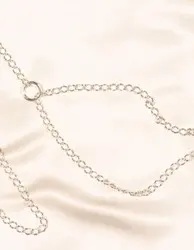 Silver Leash