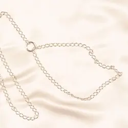 Silver Leash