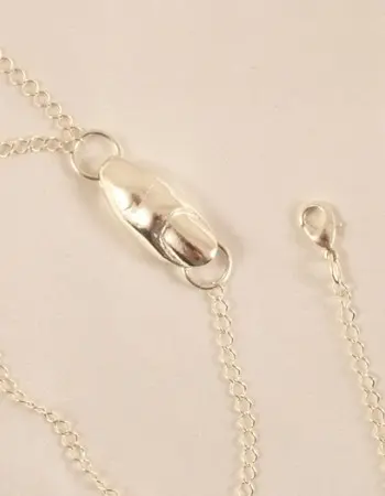Silver Leash
