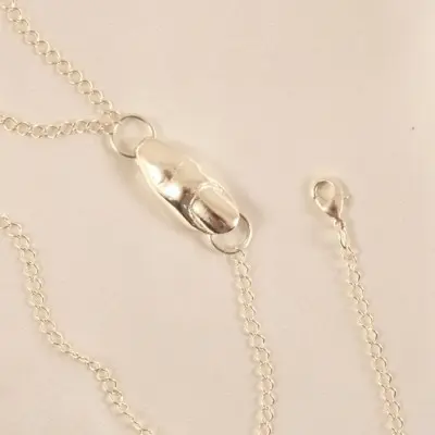 Silver Leash